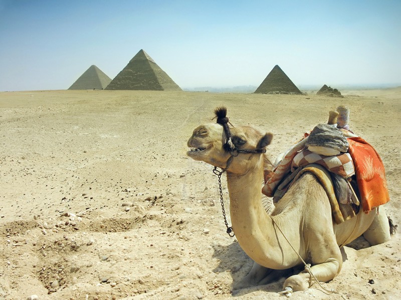 Tour Cairo Piramidi e Museo dal porto di El Ein El Sokhna 